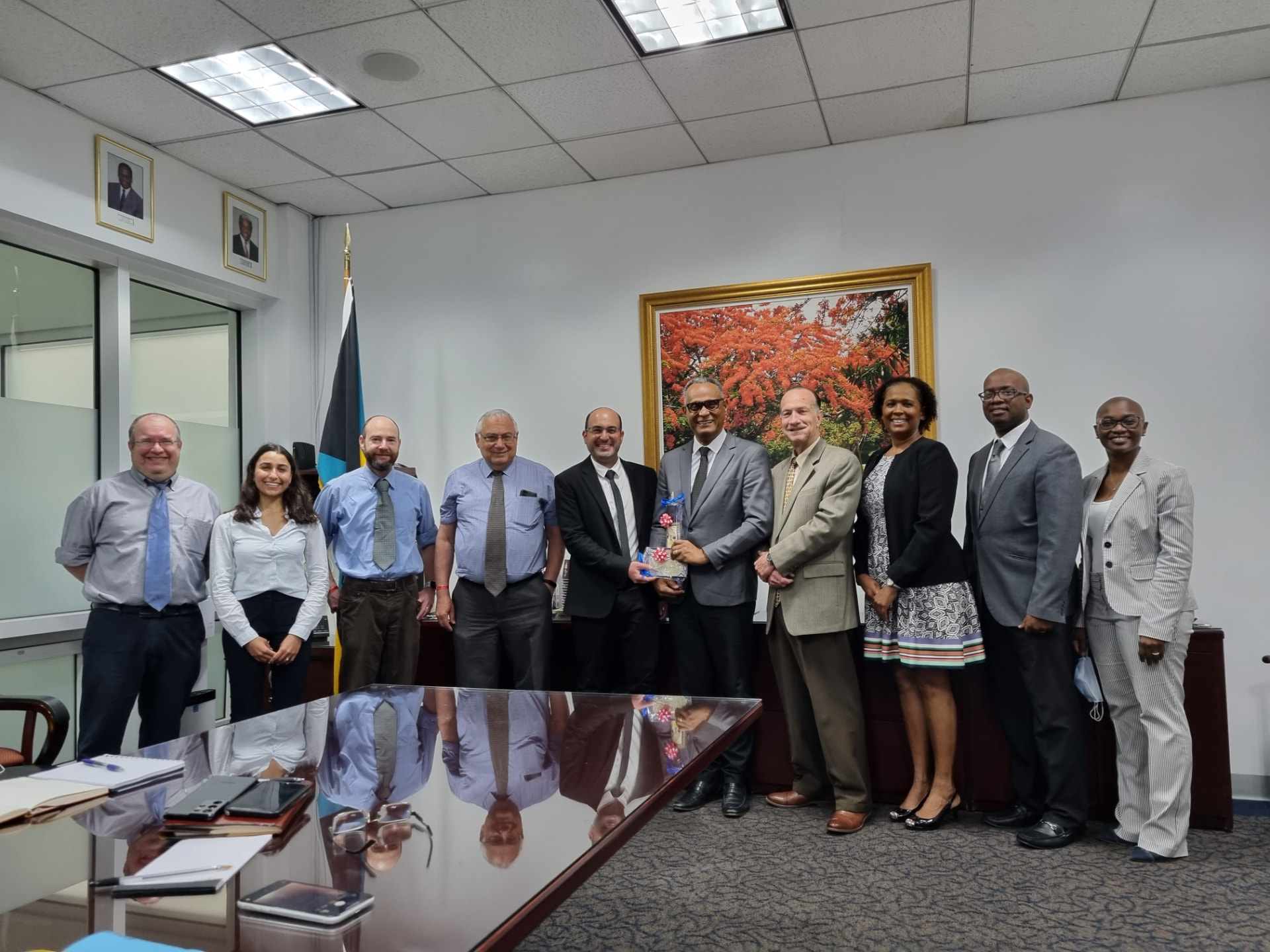 National digital-health assessment mission with the Bahamas Ministry of Health